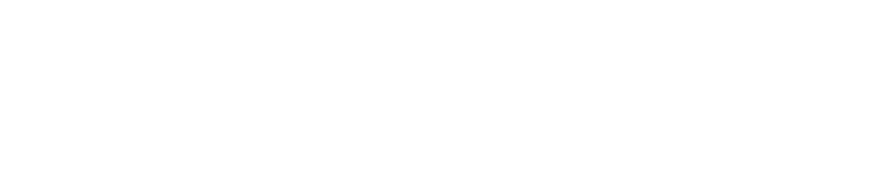 next-geo-logo-white