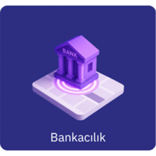 nextgeo-bankacilik-ikon