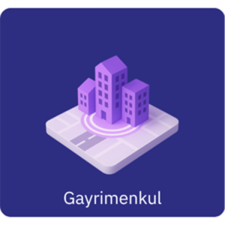 nextgeo-gayrimenkul-ikon