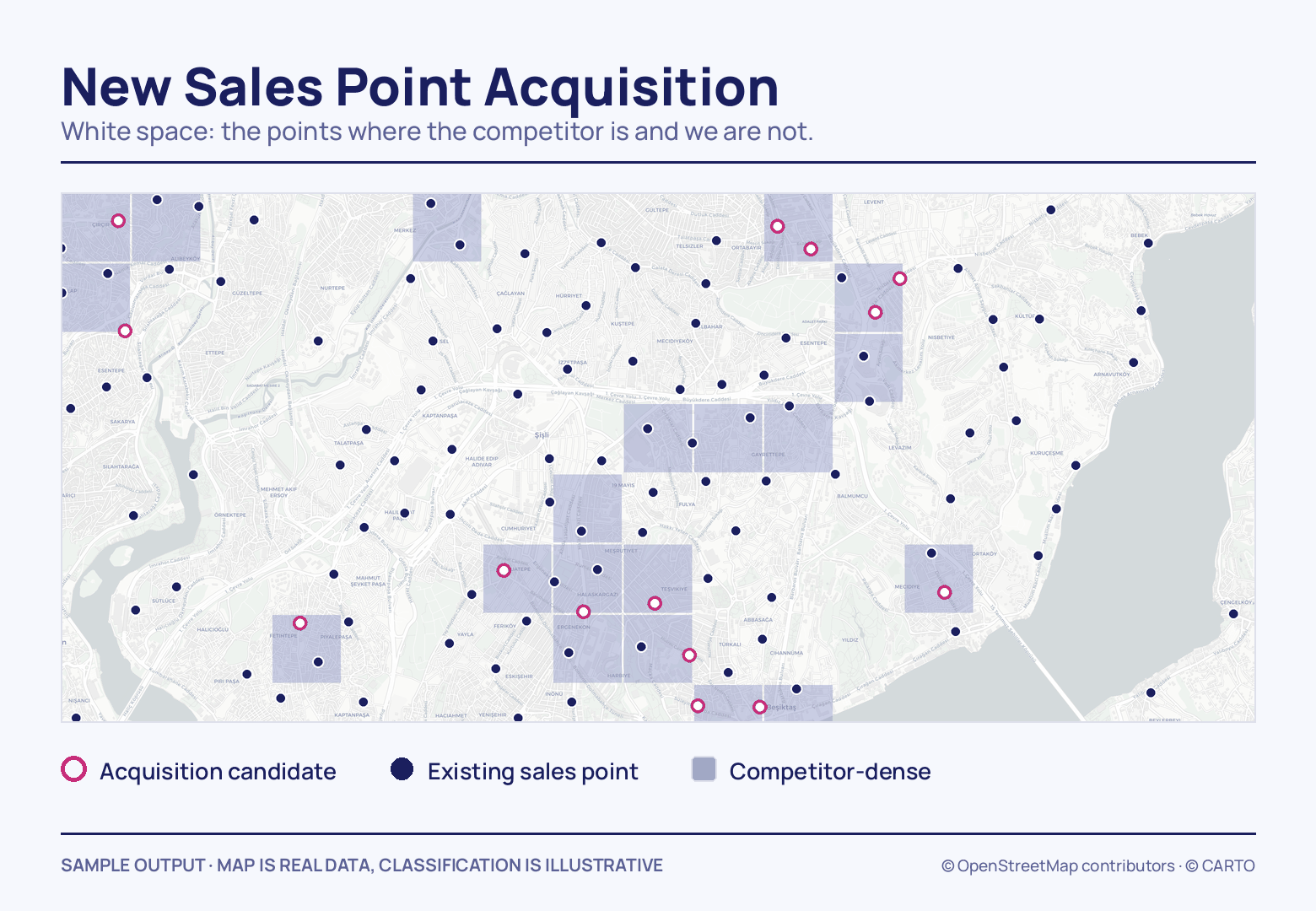 On a zoomed street map, dozens of solid navy dots mark existing sales points, pale lilac squares shade the competitor-dense blocks, and 14 pink rings inside them mark the candidates.