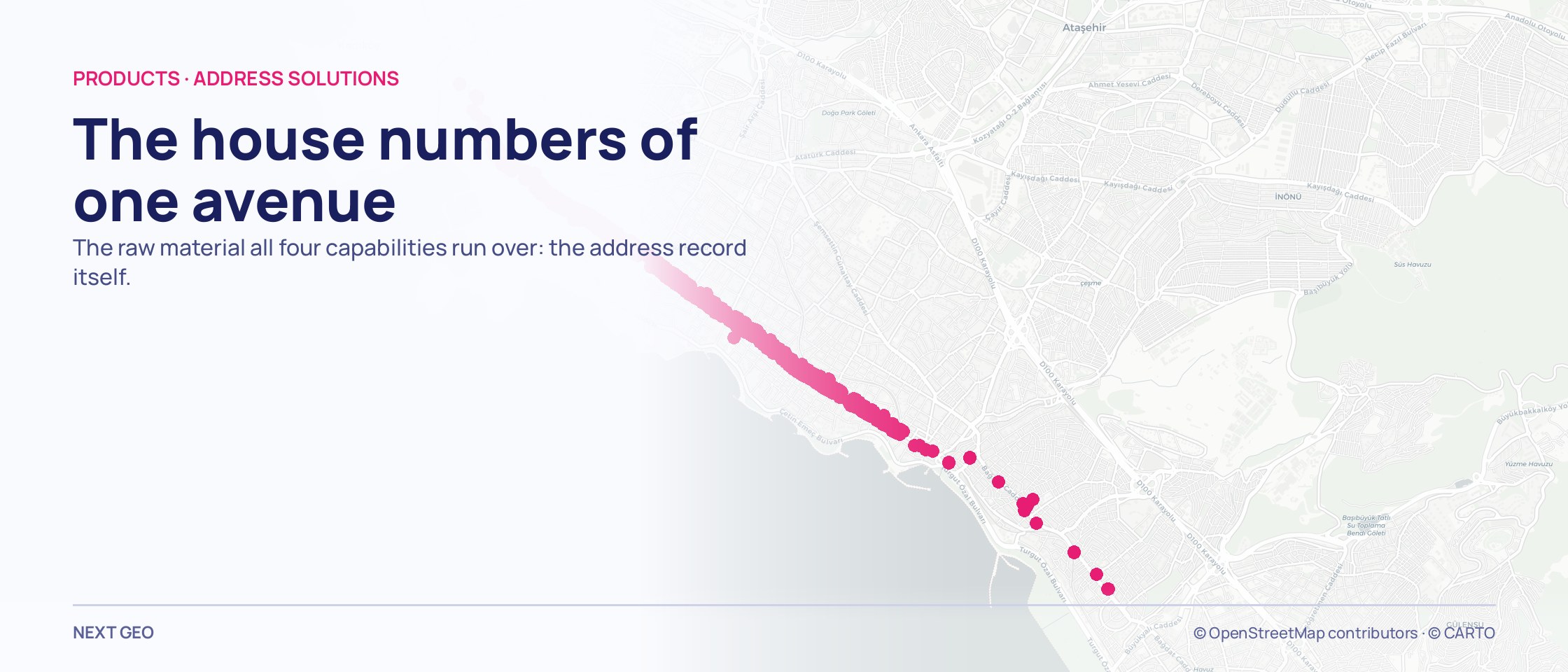 A thin pink ribbon of dots running south-east across a pale grey Kadıköy map: address records strung along one avenue.