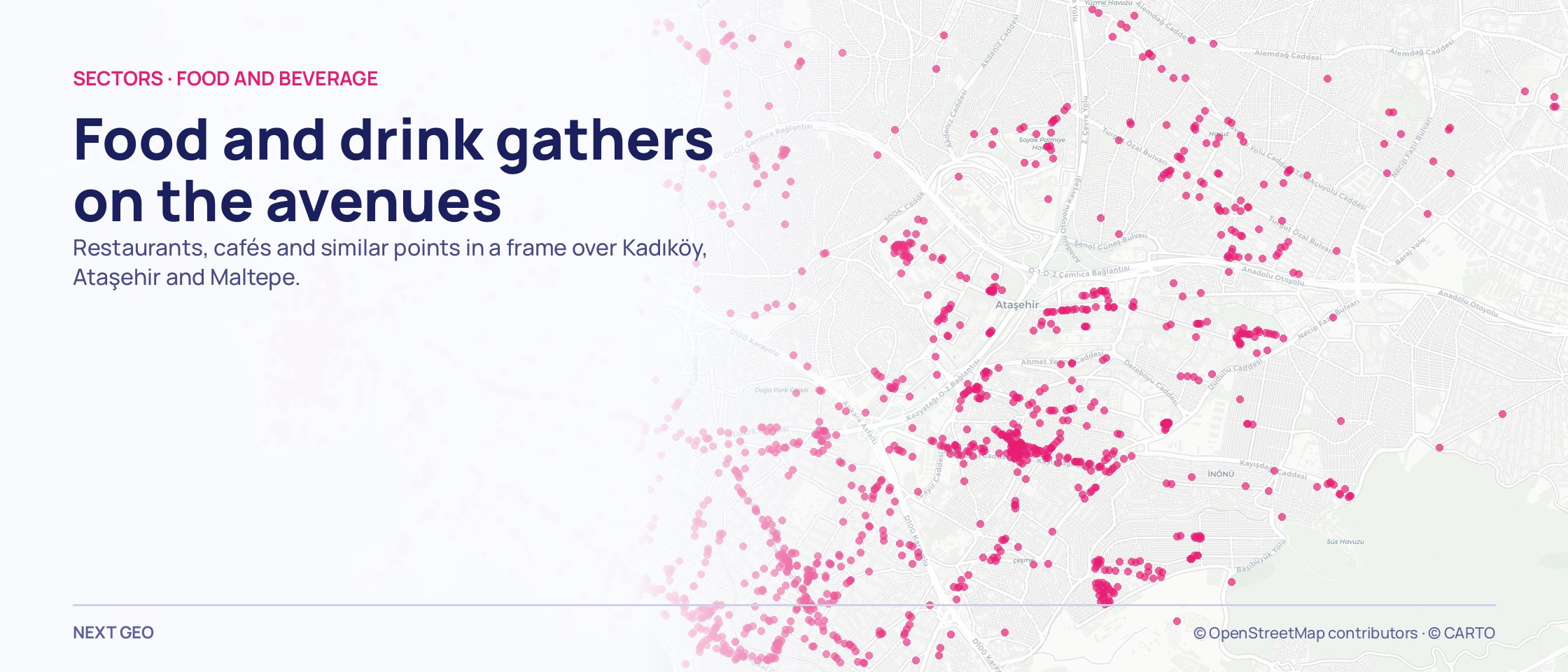 A dense pink cloud of dots following the streets across a Kadıköy, Ataşehir and Maltepe map.