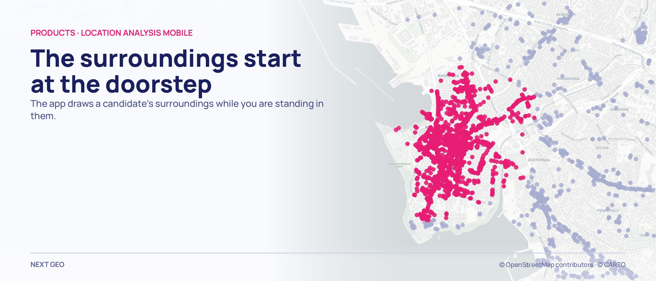 An irregular pink cluster of dots spreading along the streets on the right of a Kadıköy map, with pale lilac business dots around it.