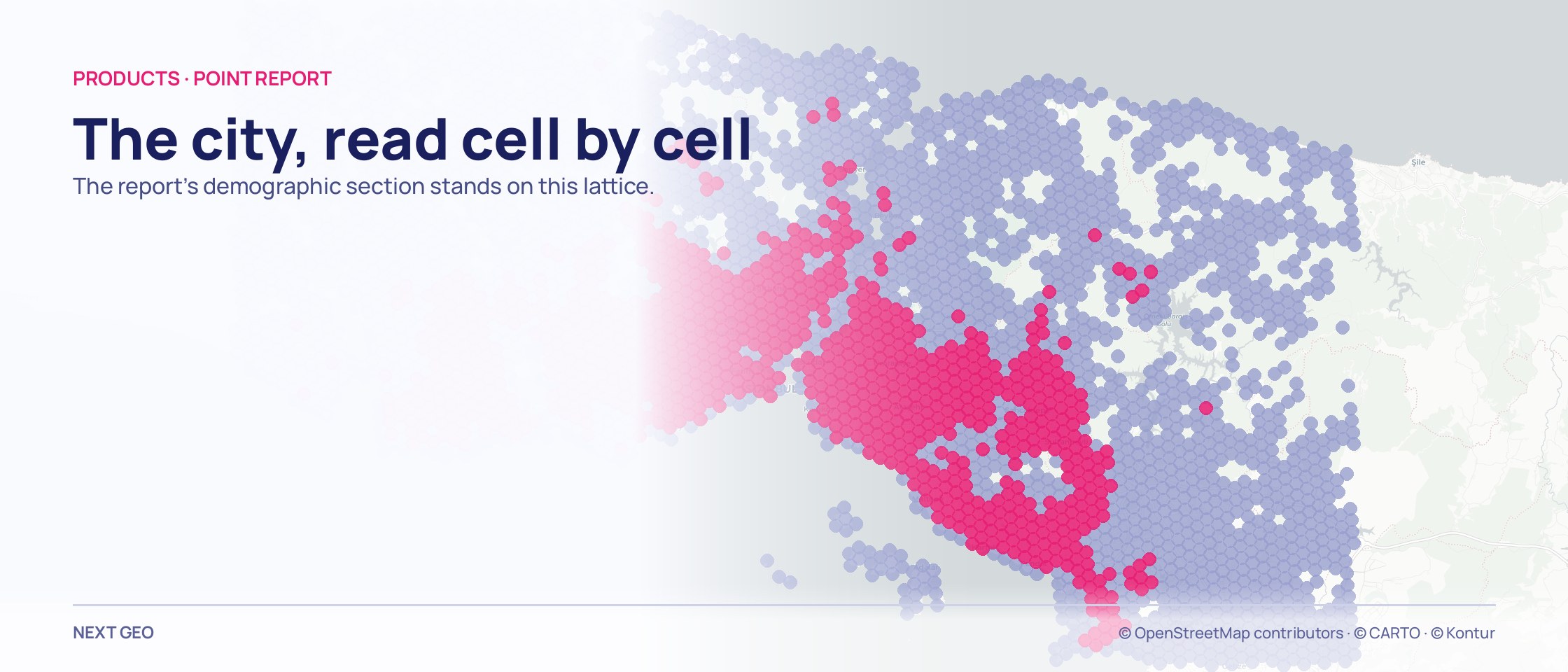 A lattice of cells covering an İstanbul map: crowded cells in pink, sparser ones in pale lilac, the pink cores gathering separately on each side of the city.