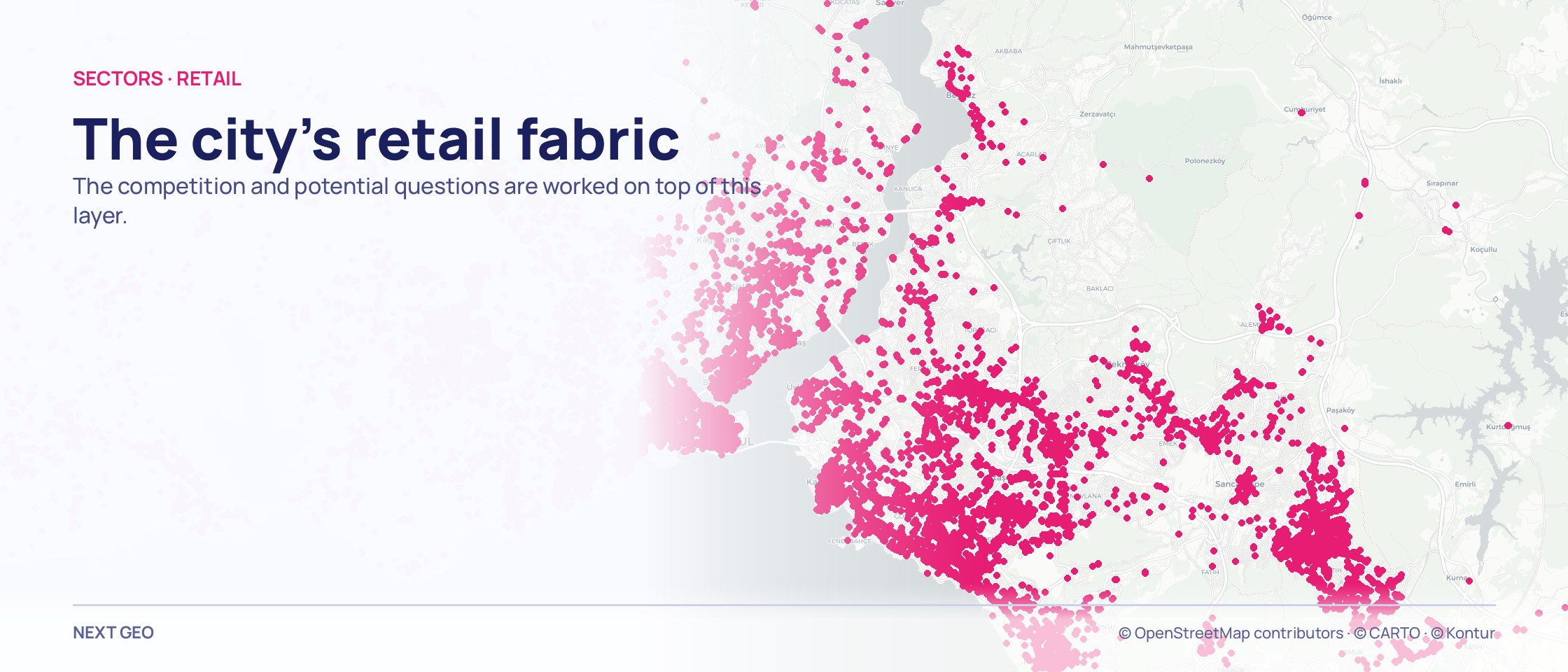 A dense pink dot texture filling a metropolitan İstanbul map, thickening along the main avenues and thinning at the forest and the water.