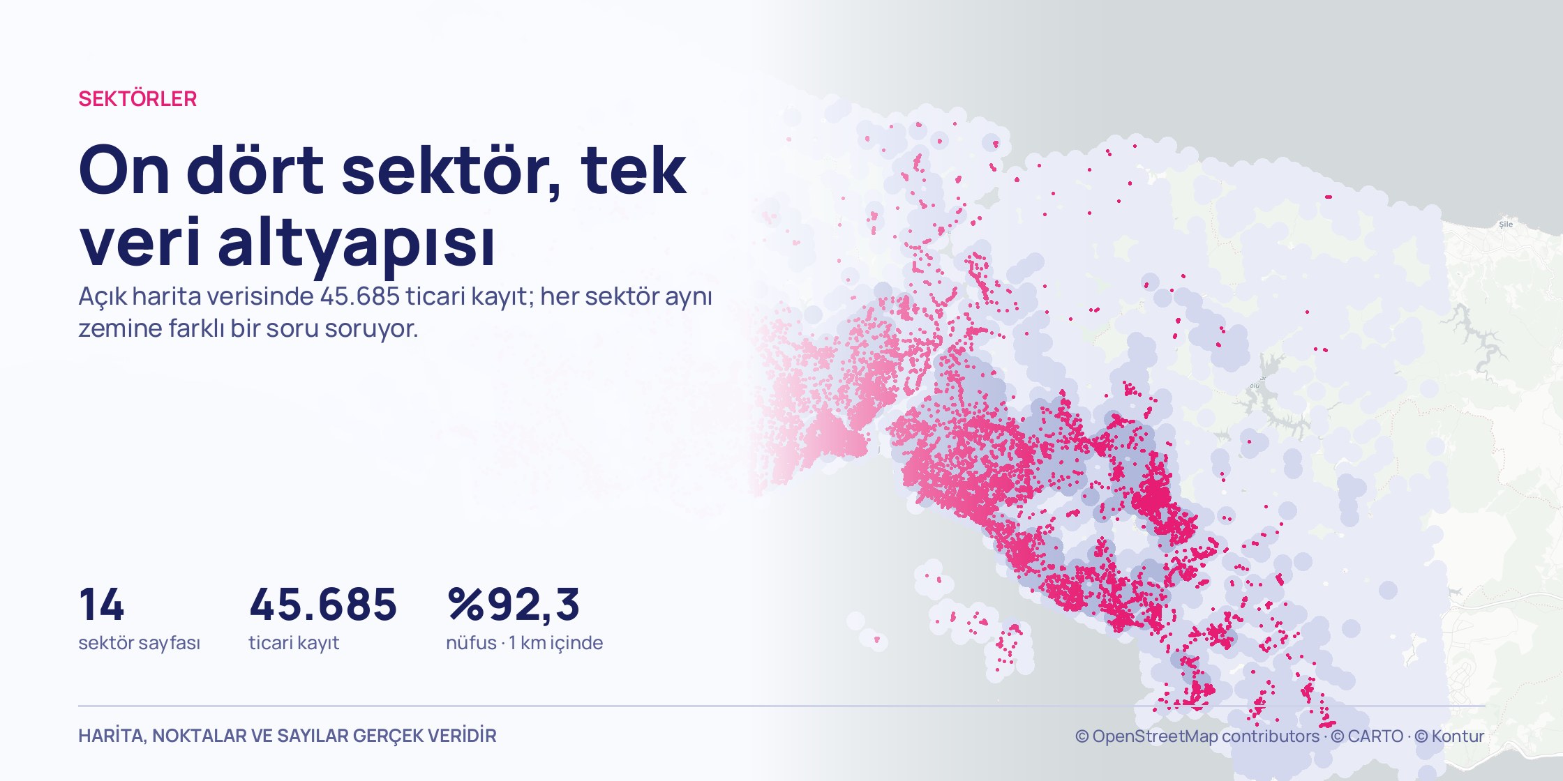 Açık gri İstanbul il haritası; açık harita verisindeki 45.685 ticari kayıt pembe noktalar hâlinde yerleşim dokusunu çiziyor.
