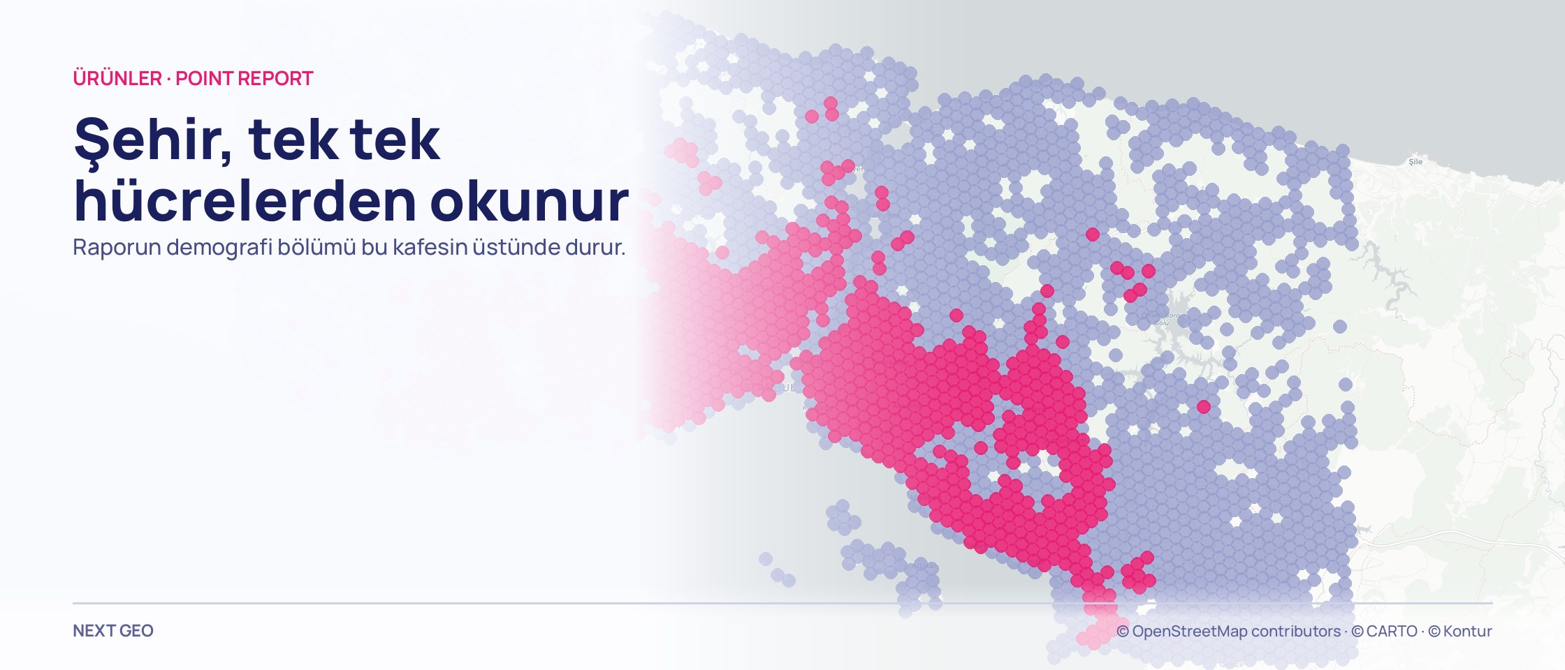 İstanbul haritasını kaplayan hücre dokusu: kalabalık hücreler pembe, daha seyrek olanlar soluk mor; pembe çekirdekler şehrin iki yakasında ayrı ayrı toplanıyor.