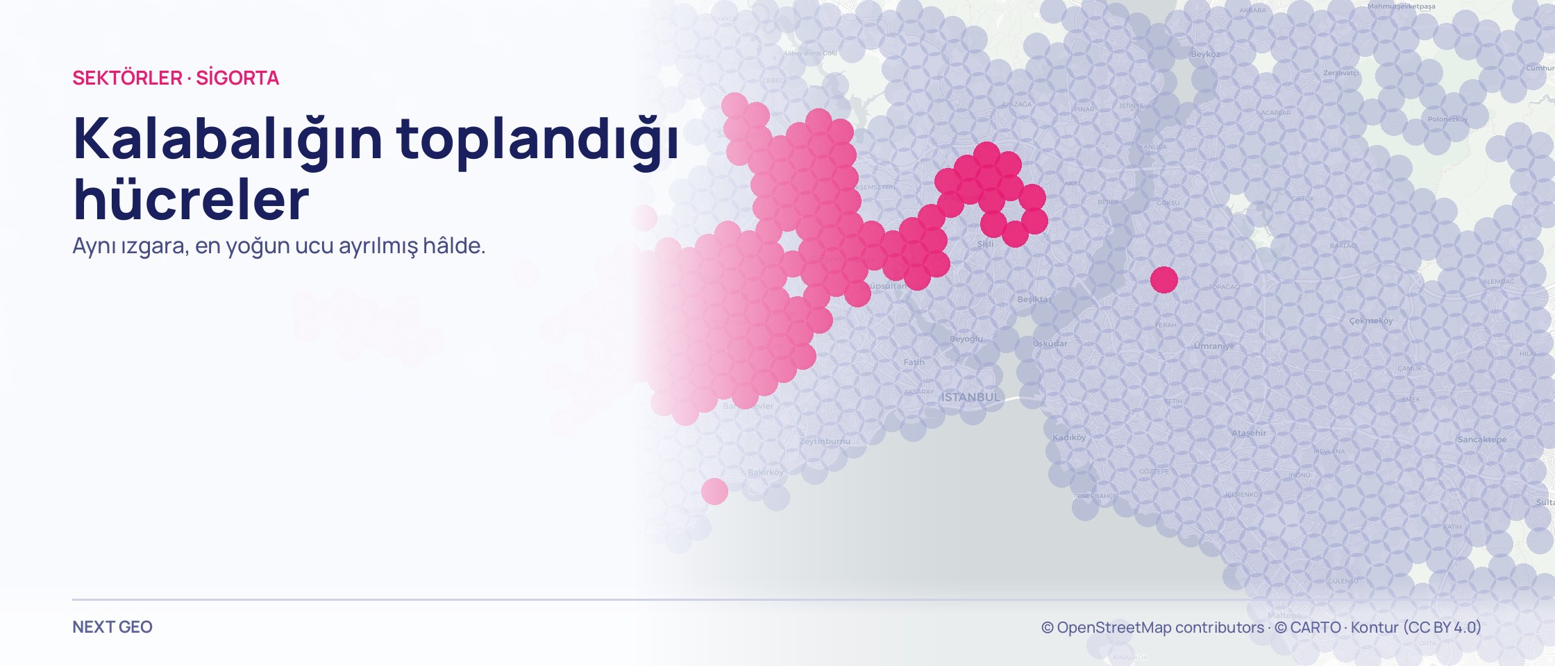Batı aksını kapsayan haritada nüfus ızgarası: en kalabalık hücreler pembe, kalanı soluk.